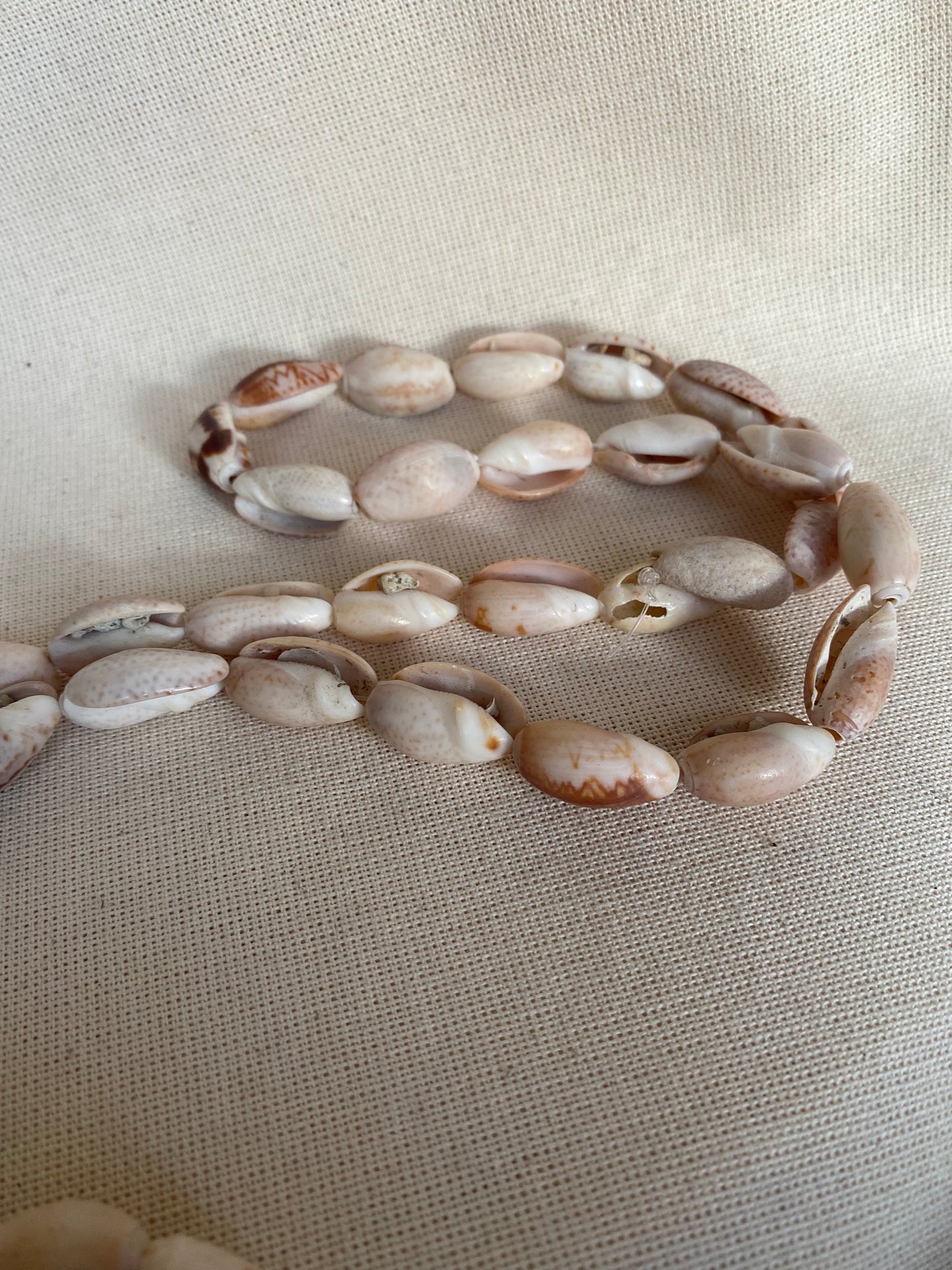 Olive Shell String