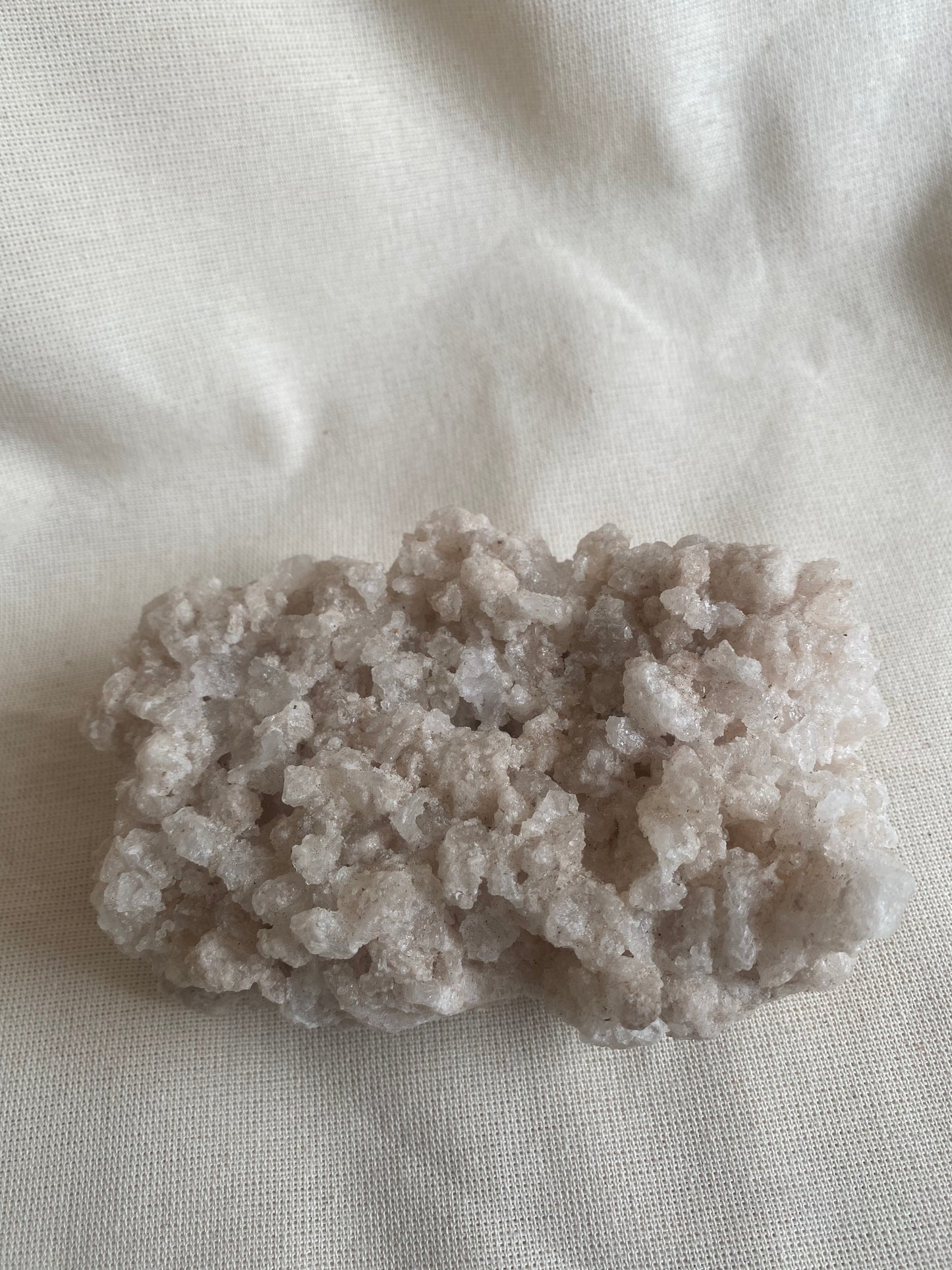 Saltstone Sal