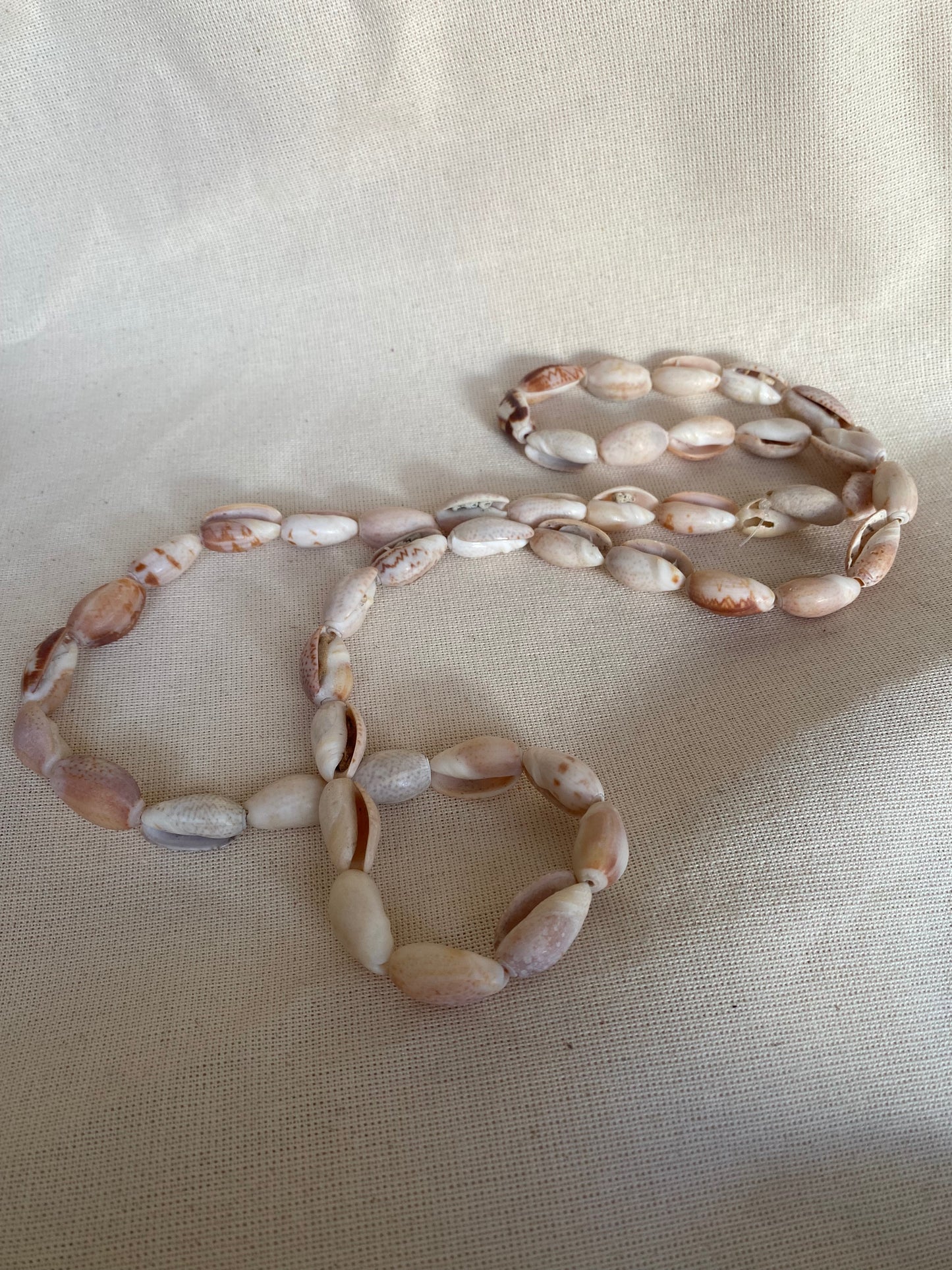 Olive Shell String