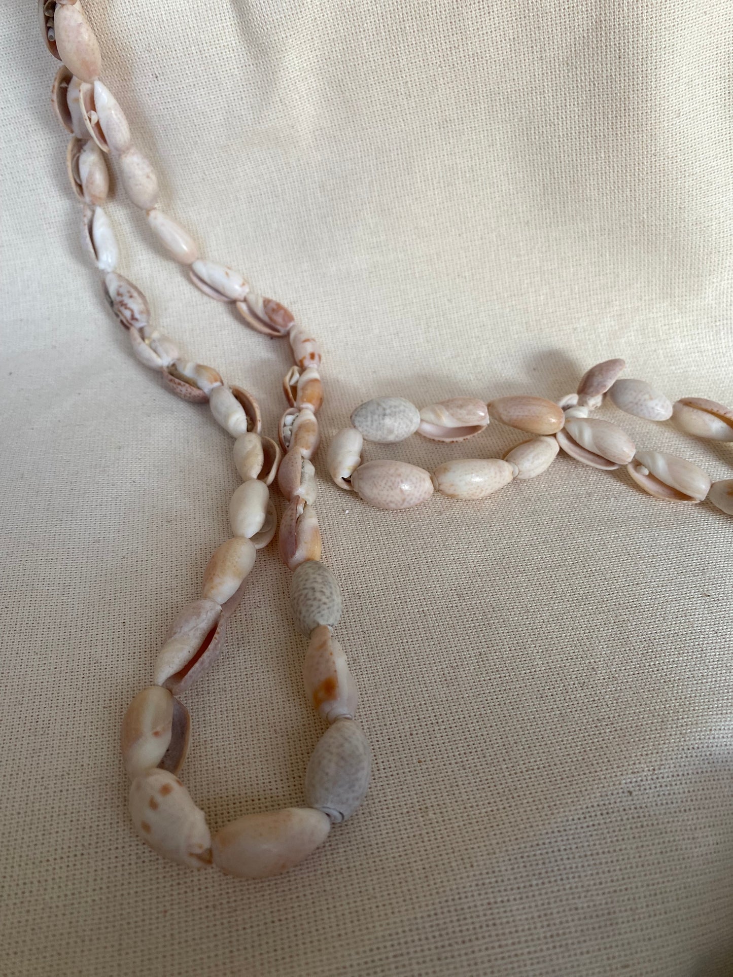 Olive Shell String