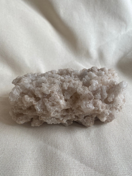 Saltstone Sal