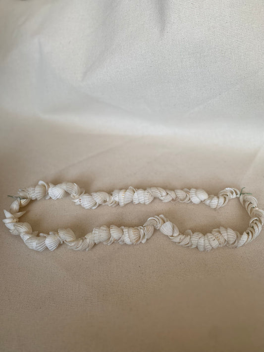 Cockle Shell string